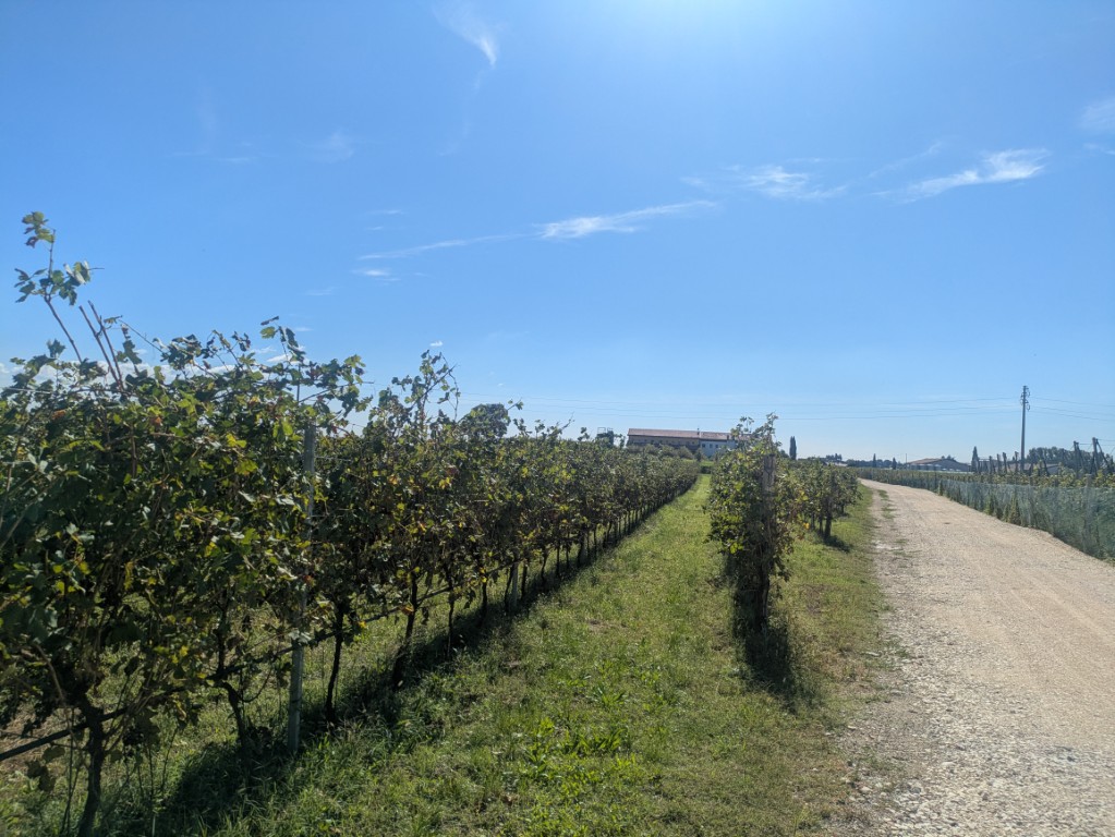 Pxl 20250928 114700723 (mittel)