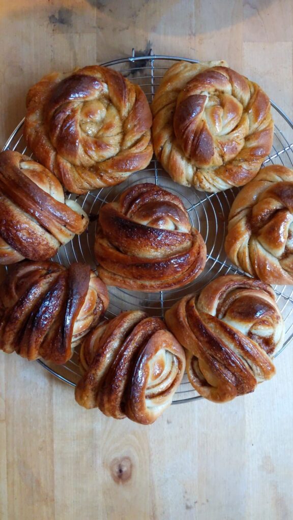 Img 20260125 wa00057504646123183351728.jpg